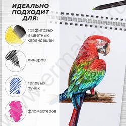 Скетчбук  60л А5 спираль "Корги" 100г/кв.м NEW | Фото 7