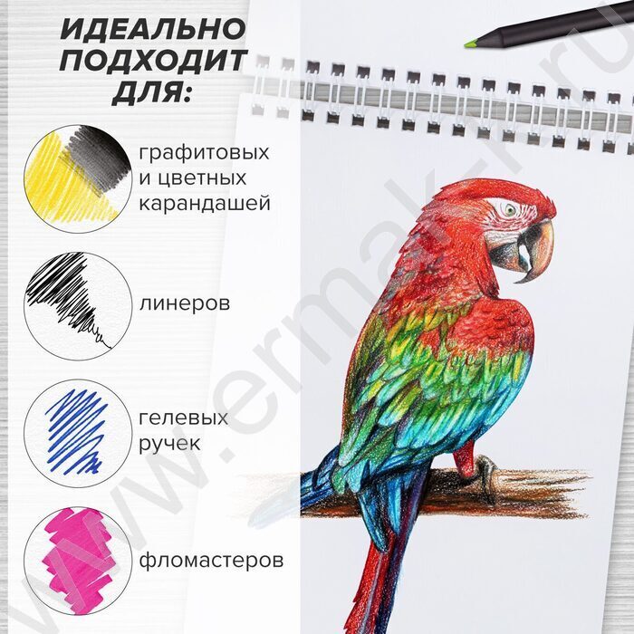 Скетчбук  60л А5 спираль "Корги" 100г/кв.м NEW | Фото 7