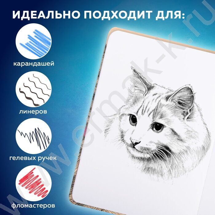 Скетчбук  64л 145х203мм, резинка "Это Кот" 160г/кв.м NEW | Фото 8