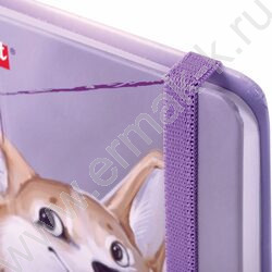Скетчбук  80л 145х203мм, резинка "Корги" 80г/кв.м NEW | Фото 3