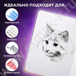 Скетчбук  80л 145х203мм, резинка "Корги" 80г/кв.м NEW | Фото 8