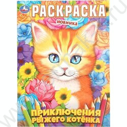 Раскраска А4 Приключения рыжего котёнка NEW | Фото 1
