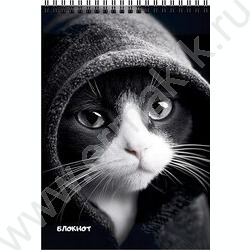 Блокнот  40л А6 спираль "Коты в чёрном-белом" ассорти NEW | Фото 2