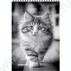 Блокнот  40л А6 спираль "Коты в чёрном-белом" ассорти NEW | Фото 3
