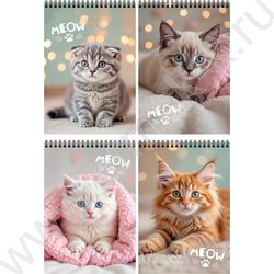 Блокнот  40л А6 спираль "Милые котики-12" ассорти NEW | Фото 1