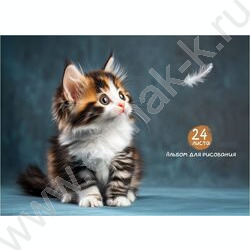 Альбом д/рисования-спираль 24л "Котики-5" NEW | Фото 1