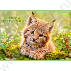Альбом д/рисования 40л "Милые животные-21" ассорти NEW | Фото 2