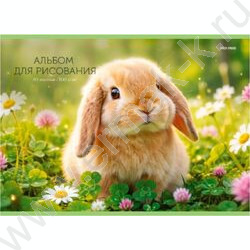 Альбом д/рисования 40л "Милые животные-21" ассорти NEW | Фото 5