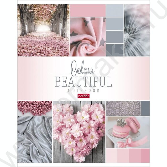 Тетрадь  96л клетка "Beautiful colour" 5видов | Фото 5