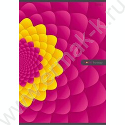 Тетрадь  96л А4 клетка "FlowerFantasy" | Фото 2