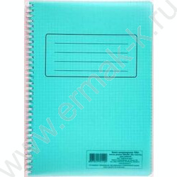 Книга Канцелярская 100л клетка зел. пластик/спираль | Фото 1