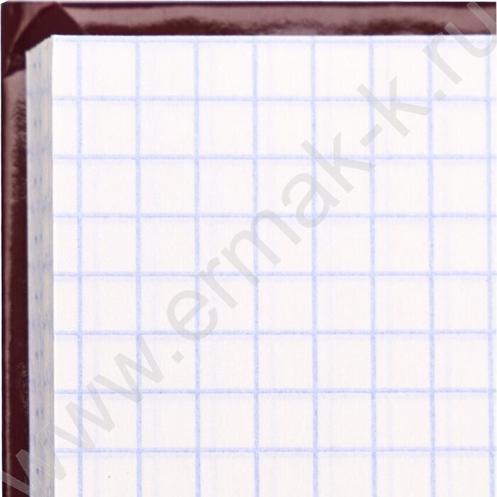 Книга Учёта 120л клетка тв.обл. офсет бордо | Фото 3