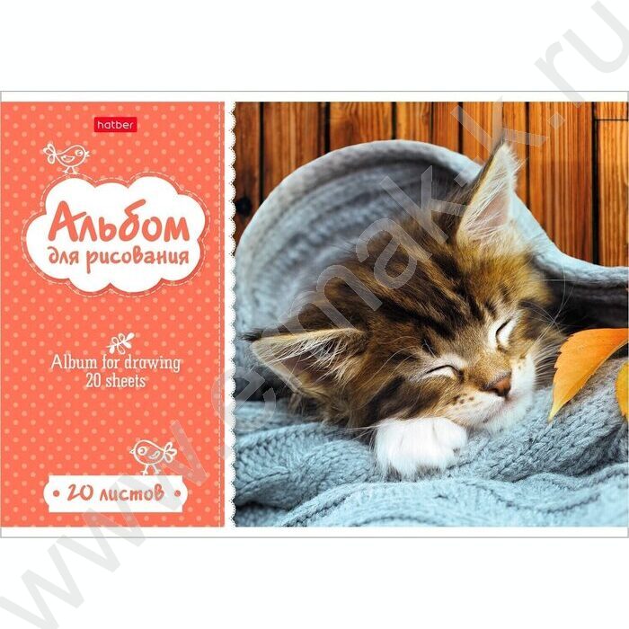 Альбом д/рисования 20л "Котята" 5видов | Фото 1
