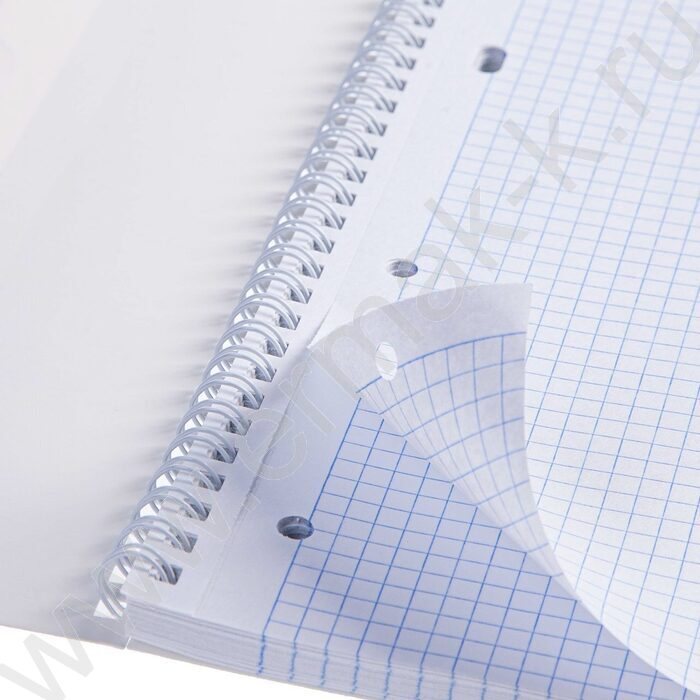 Тетрадь  80л А4 клетка/спираль "OfficeLine" /лак/ | Фото 6