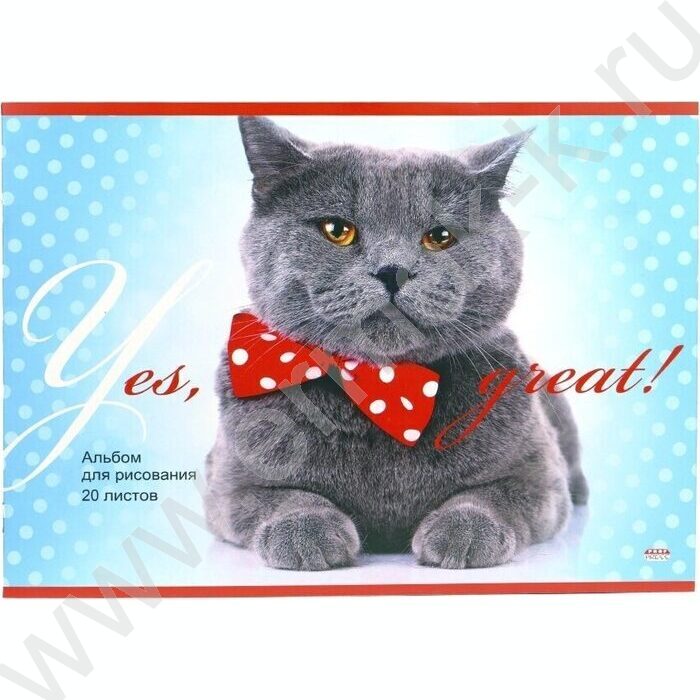 Альбом д/рисования 20л "Кот с бантом" | Фото 1
