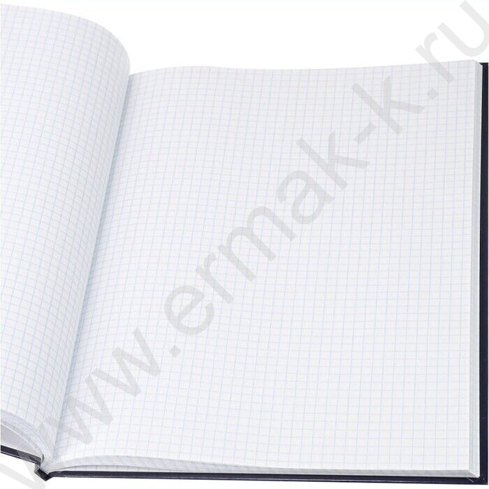 Книга Учёта  80л клетка тв.обл. офсет | Фото 3