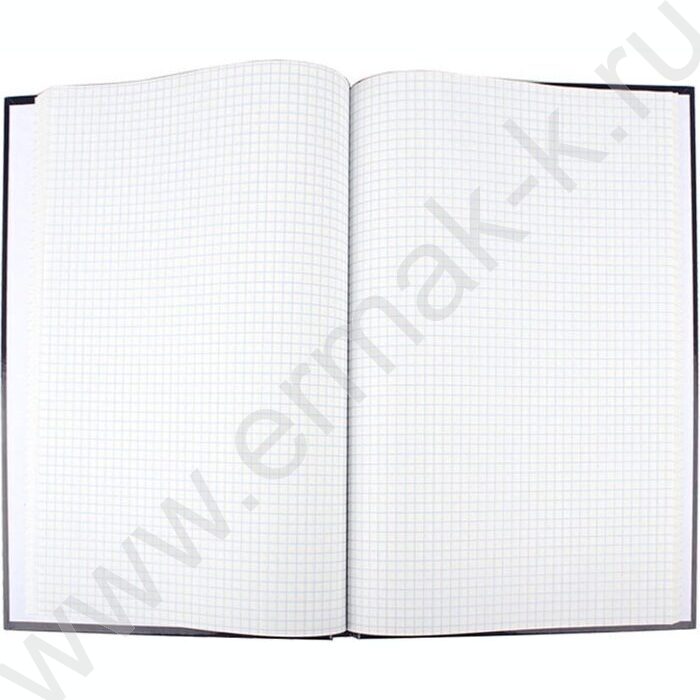 Книга Учёта 120л клетка тв.обл. офсет | Фото 2