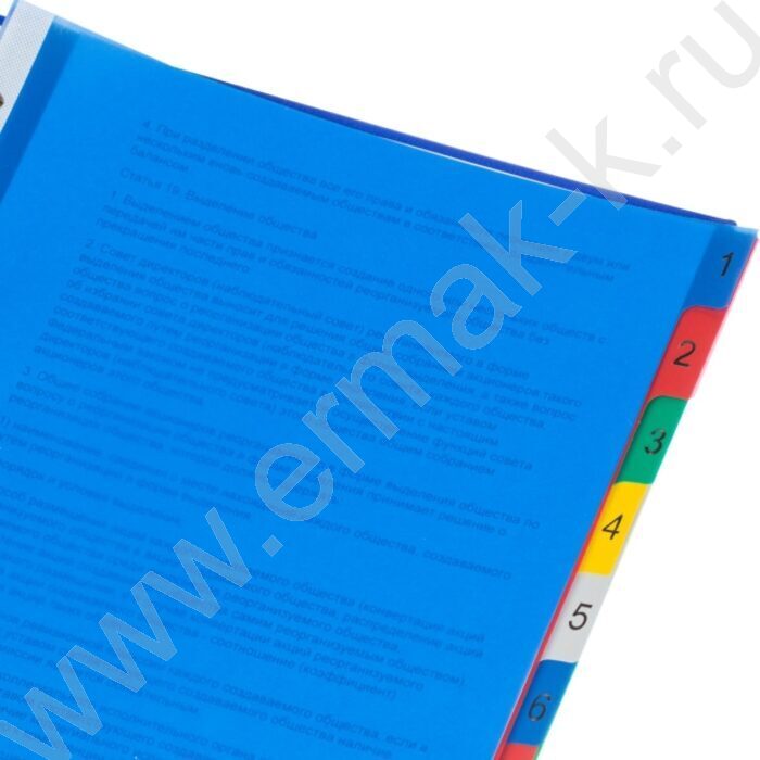 Разделитель листов пластик А4 цифровой 10цв MAXI | Фото 5