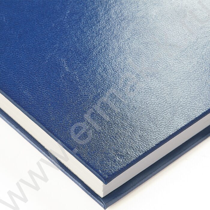 Ежедневник-планинг н/дат 64л спираль "Ideal NEW синий" | Фото 3