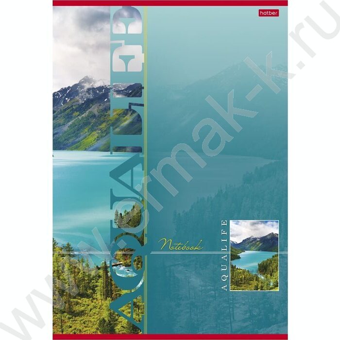 Тетрадь  80л А4 клетка "Aqualife" /лак/ 5видов | Фото 1