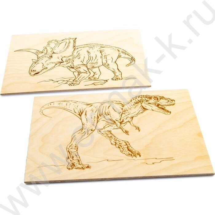 Набор д/творчества Выжигание.Доски для выжигания 2 шт "Трицератопс и Тираннозавр" серия "Динозав | Фото 3