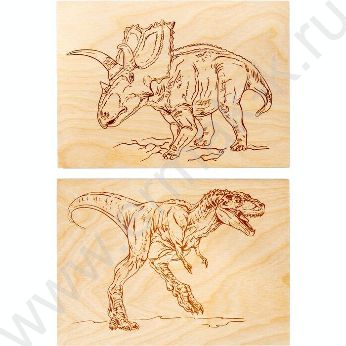 Набор д/творчества Выжигание.Доски для выжигания 2 шт "Трицератопс и Тираннозавр" серия "Динозав | Фото 6