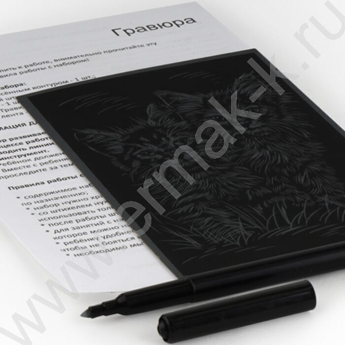 Набор д/творчества Гравюра малая золото Пушистые котята | Фото 3