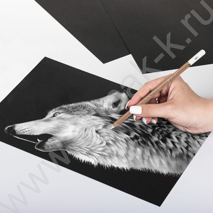 Мел белый художественный Gioconda (KIN 8801) | Фото 8