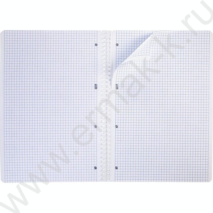 Тетрадь  80л А4 клетка/спираль "2COLORS" | Фото 5