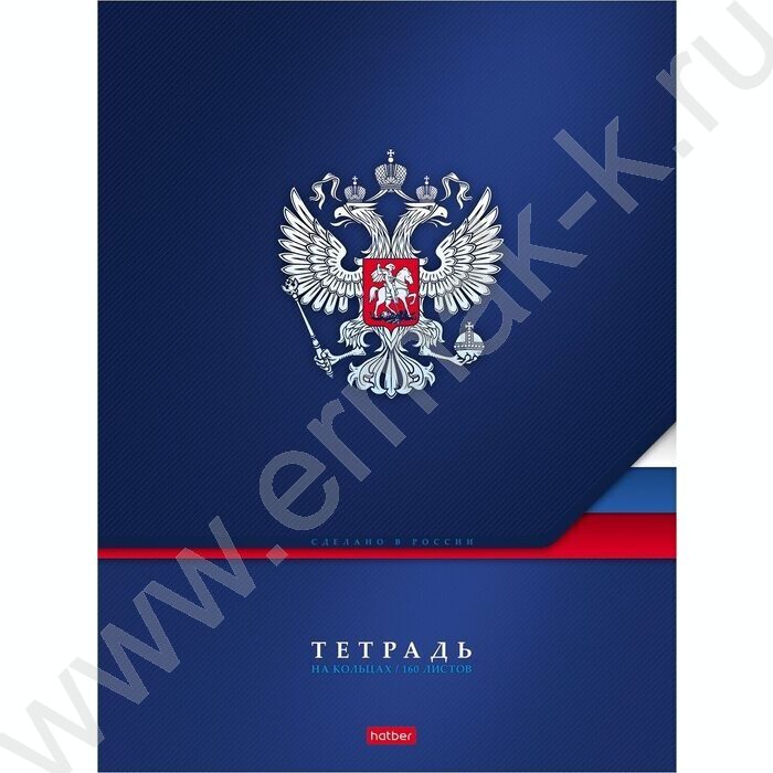Тетрадь 160л А4 клетка/кольца "Россия" | Фото 1