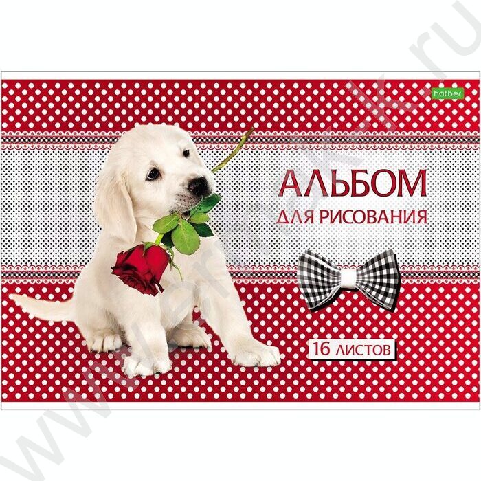 Альбом д/рисования 16л "Щенки" 5видов | Фото 3