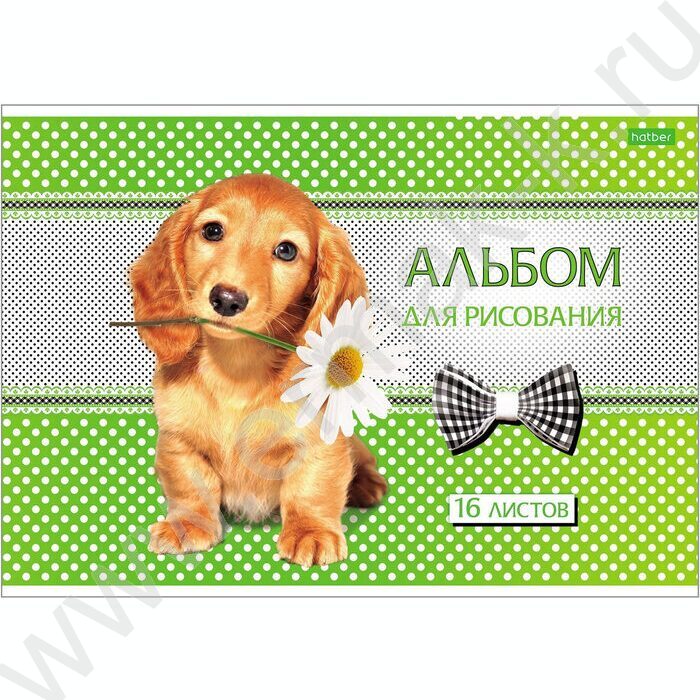 Альбом д/рисования 16л "Щенки" 5видов | Фото 5