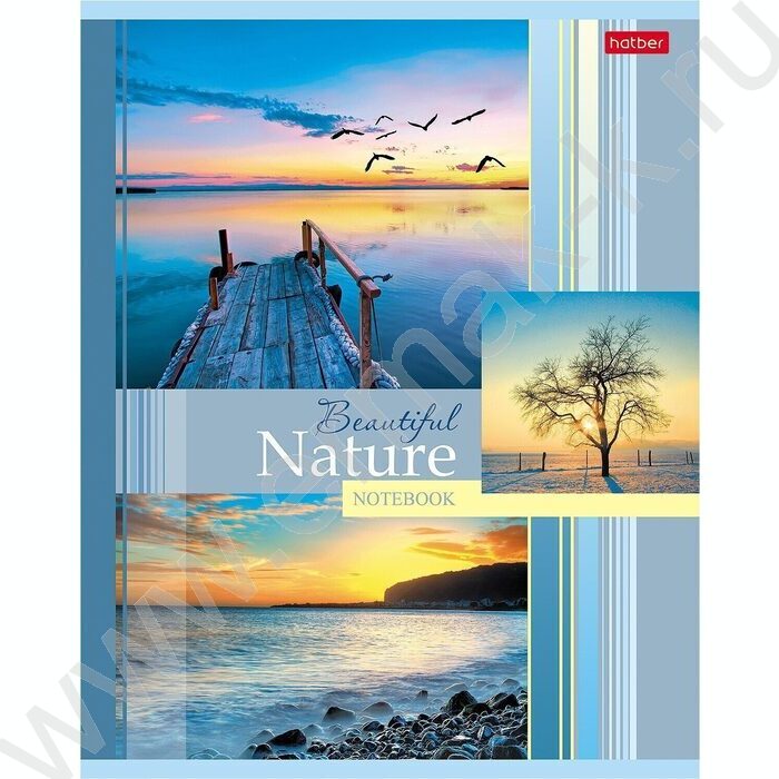 Тетрадь  48л клетка "Beautiful nature" 5видов | Фото 1