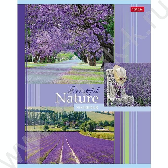 Тетрадь  48л клетка "Beautiful nature" 5видов | Фото 2