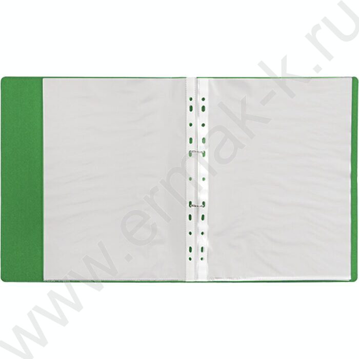 Портфолио школьника /2кольца,20файлов/ зеленый | Фото 2