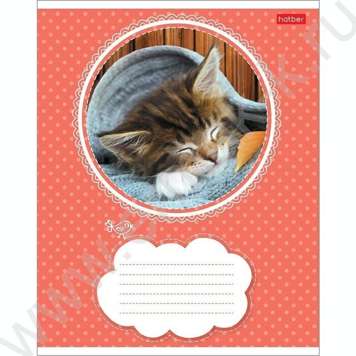 Тетрадь  18л линейка "Котята" 5видов | Фото 1