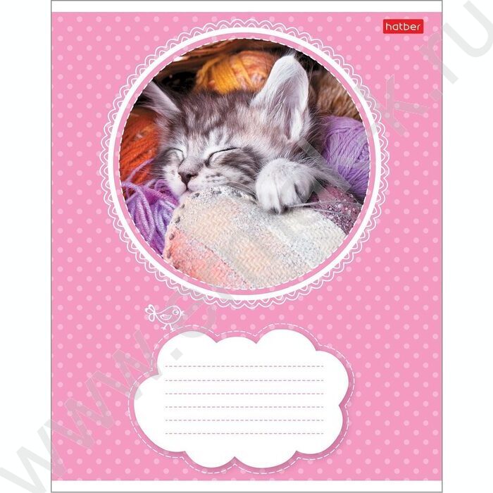 Тетрадь  18л линейка "Котята" 5видов | Фото 2