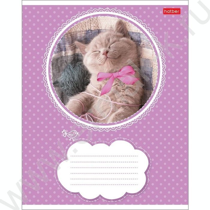 Тетрадь  18л линейка "Котята" 5видов | Фото 3