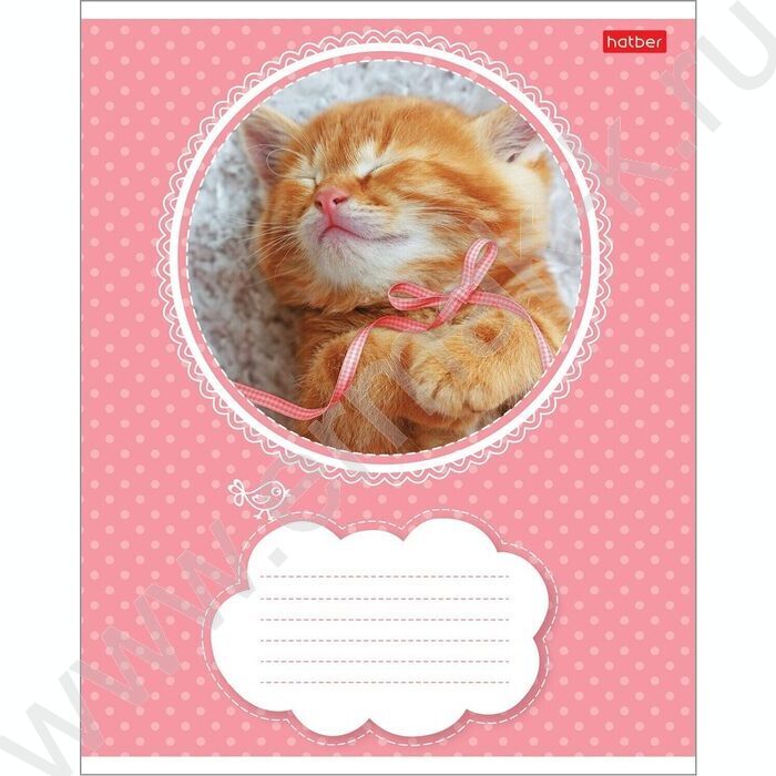 Тетрадь  18л линейка "Котята" 5видов | Фото 5