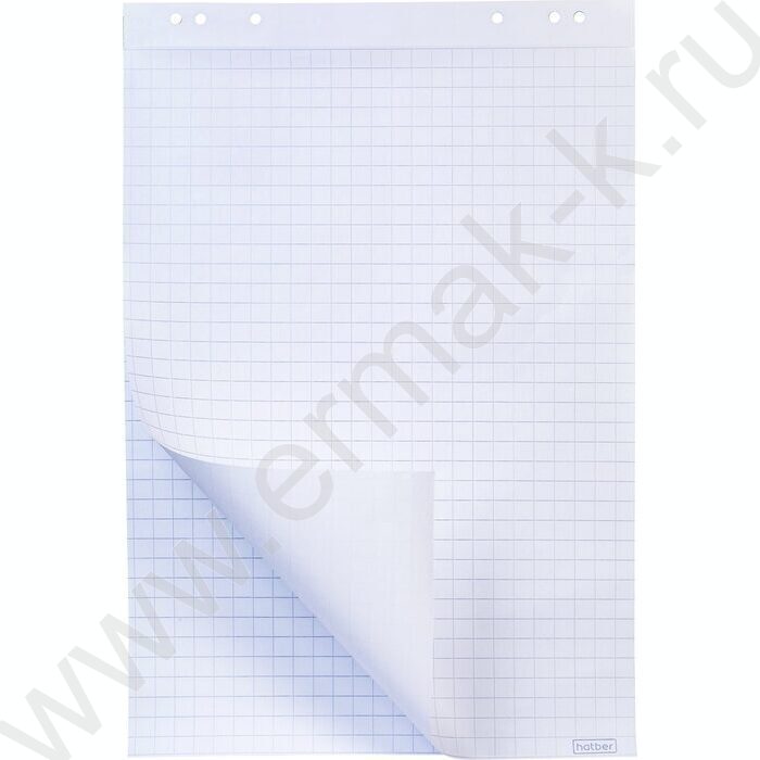 Блок д/флипчарта 64*96см 20л клетка | Фото 1