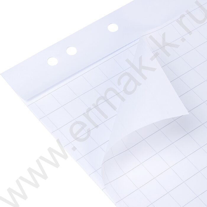 Блок д/флипчарта 64*96см 20л клетка | Фото 2
