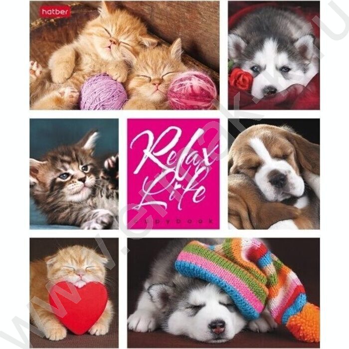 Тетрадь  24л клетка "Relax Life" 5видов | Фото 1