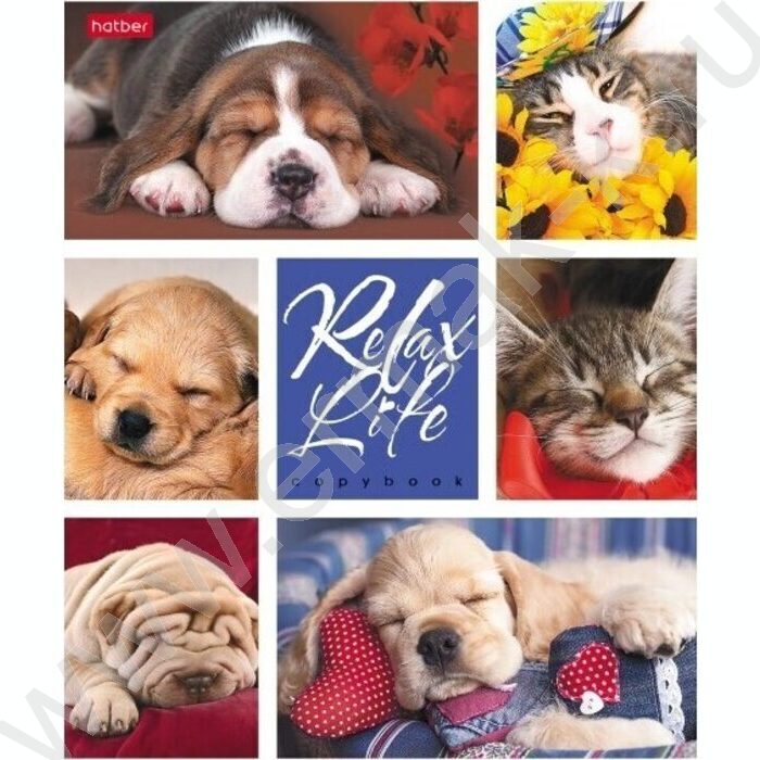 Тетрадь  24л клетка "Relax Life" 5видов | Фото 2