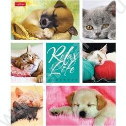 Тетрадь  24л клетка "Relax Life" 5видов | Фото 3