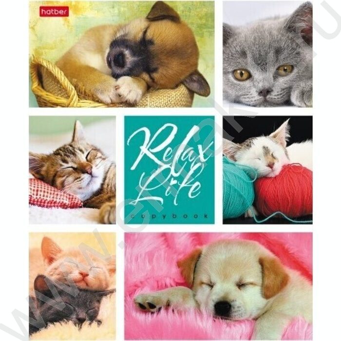 Тетрадь  24л клетка "Relax Life" 5видов | Фото 3