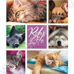 Тетрадь  24л клетка "Relax Life" 5видов | Фото 4