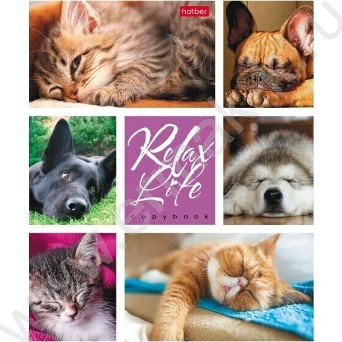 Тетрадь  24л клетка "Relax Life" 5видов | Фото 4