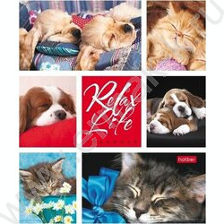 Тетрадь  24л клетка "Relax Life" 5видов | Фото 5