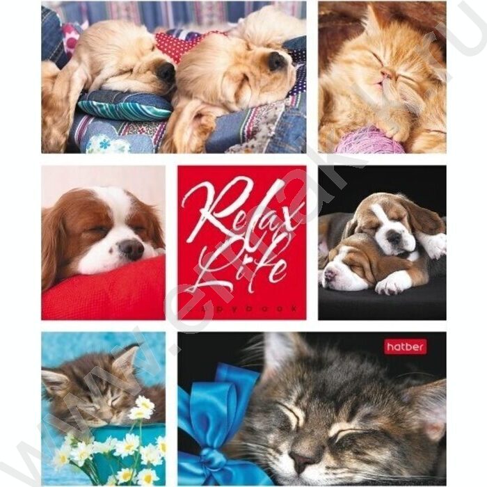 Тетрадь  24л клетка "Relax Life" 5видов | Фото 5