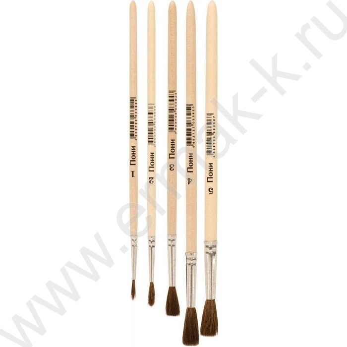 Кисть набор  5шт /пони/ европодвес | Фото 2